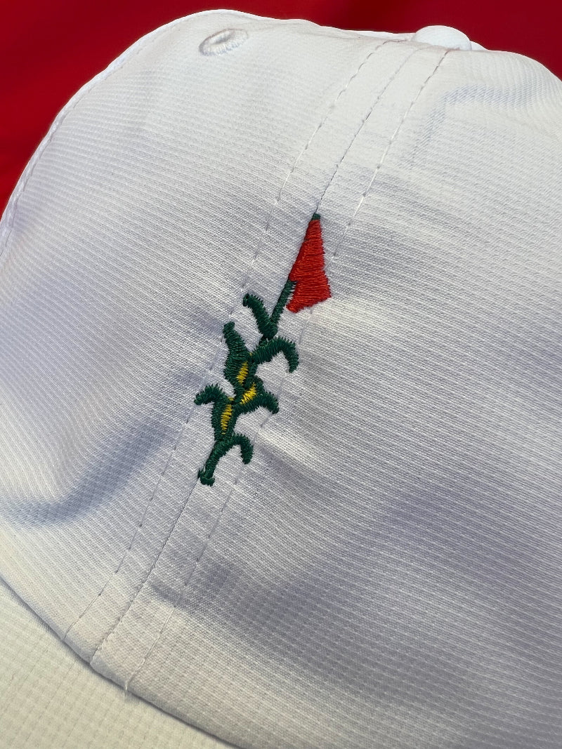 The Flagstalk Original Performance Cap